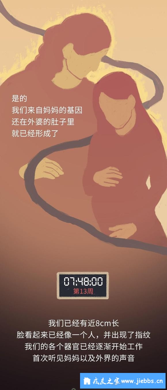 ”怀胎十月的过程中，我们在妈妈体内经历了什么？