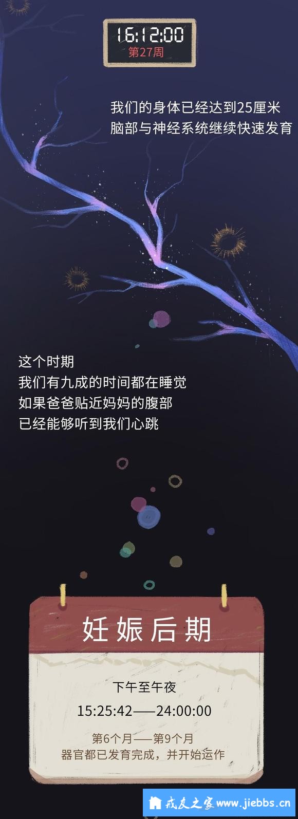 ”怀胎十月的过程中，我们在妈妈体内经历了什么？