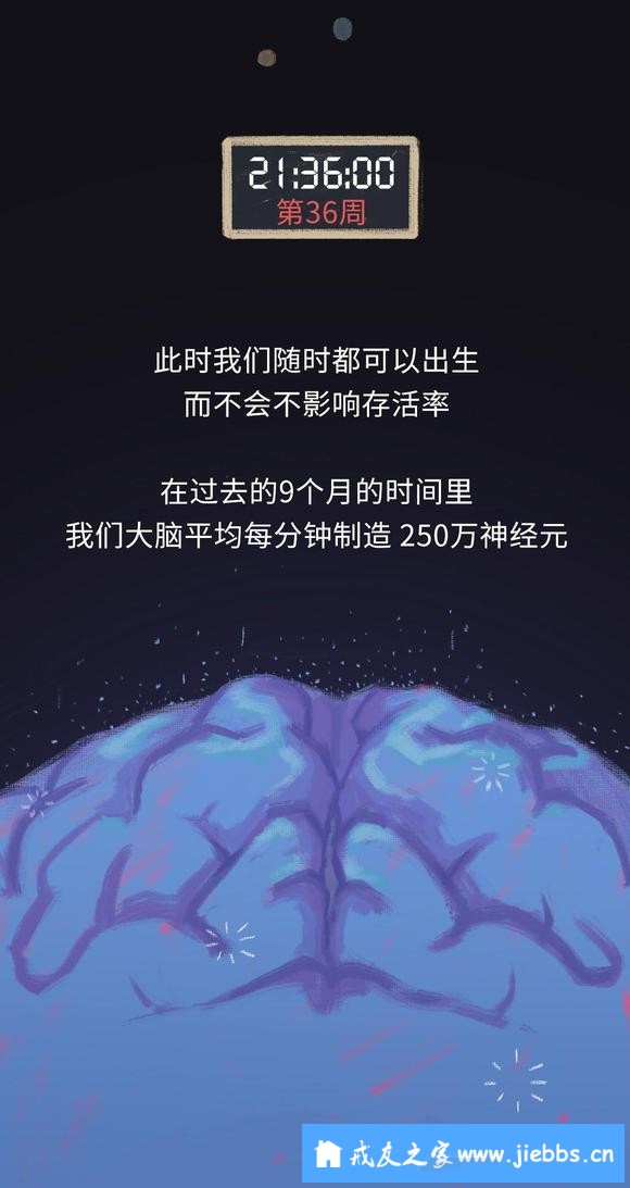 ”怀胎十月的过程中，我们在妈妈体内经历了什么？