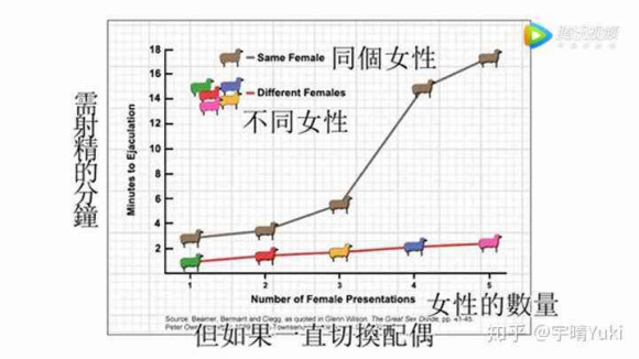 ”【科学戒色入门指南】我们为什么要戒除色情？