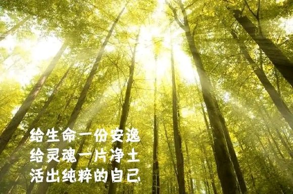 ”戒色，要踏实，一步一个脚印