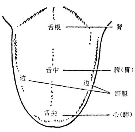 ”分享：中医临床治疗sy伤精症