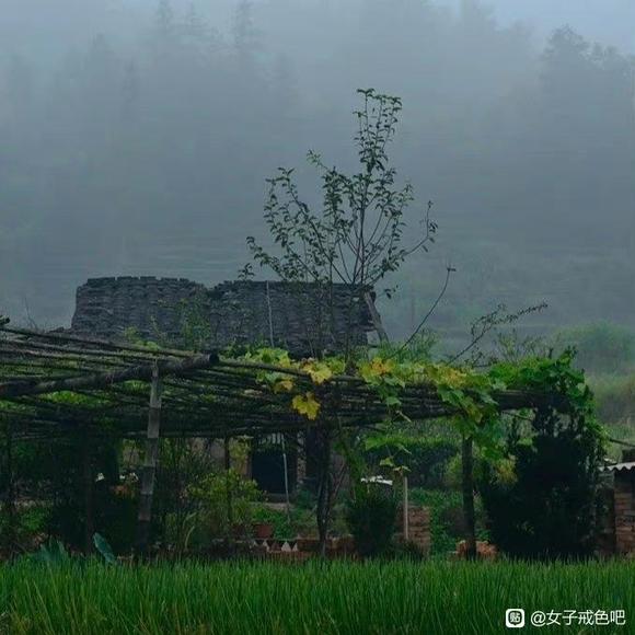 ”《寿康宝鉴》附录·劝毁淫书说（一）