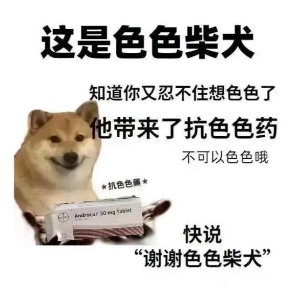 ”戒色计划正式启动