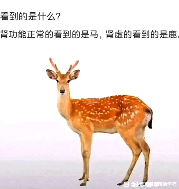 ”戒色了,发什么我都不会充的