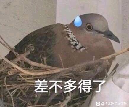 ”从今天开始戒色