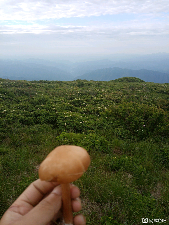 ”在终南山隐居戒色3年了，终于恢复了