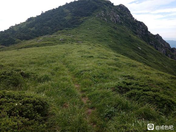 ”在终南山隐居戒色3年了，终于恢复了