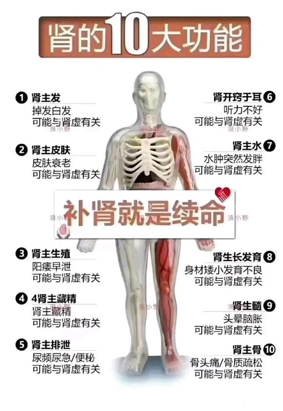 ”福报是支撑一切的源泉，邪淫最耗福报，所以最需要积累福报来改变。