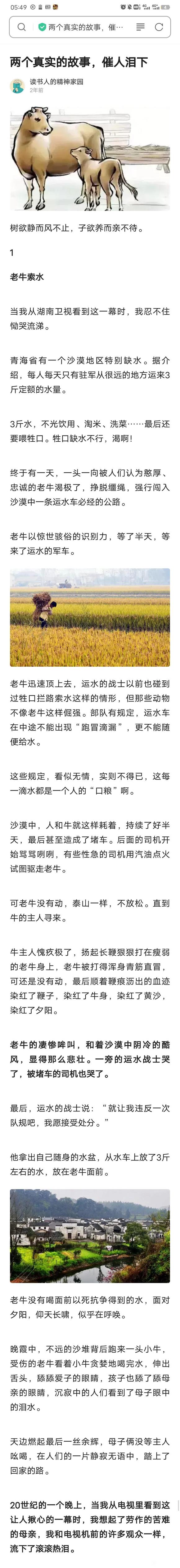 ”两个真实的故事，感恩世间的所有母亲！