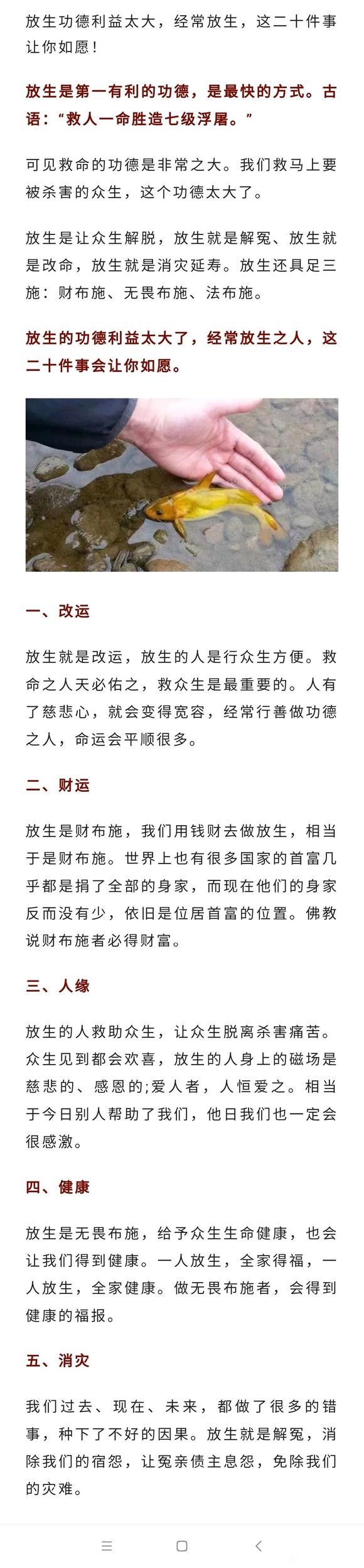 ”放生功德利益太大，经常放生，