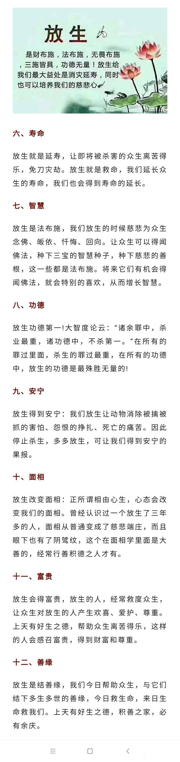 ”放生功德利益太大，经常放生，