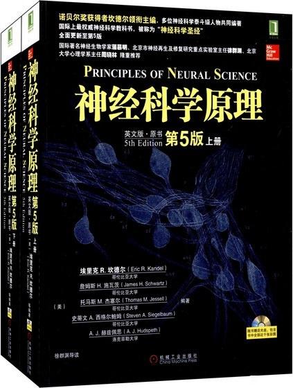 ”8u们有没连续一年以上没破戒的，求助下脑力恢复问题