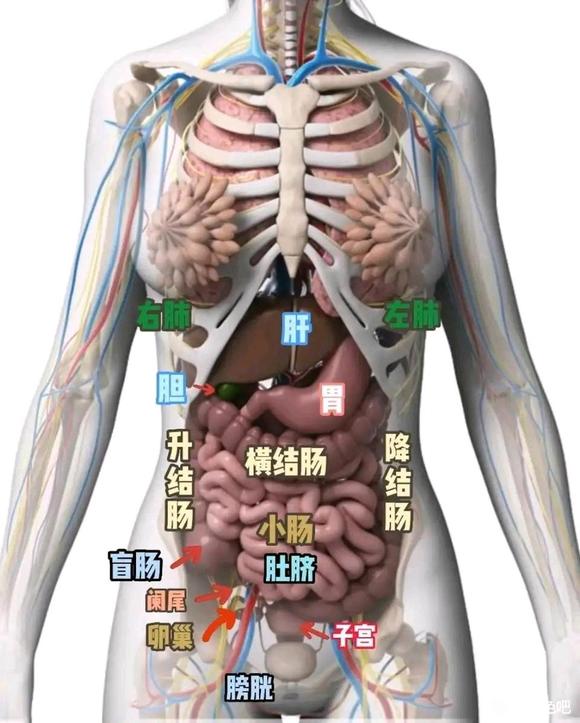 ”请求帮助。