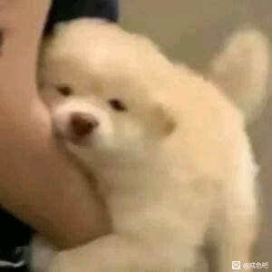 ”你们有没有那种很亢奋的感觉