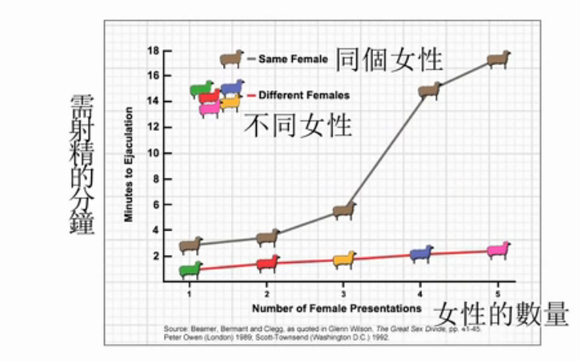 ”伟大的色情实验