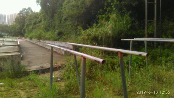 ”各位戒了多久才看到效果？我现在戒了12天，感觉只是不那么容易累