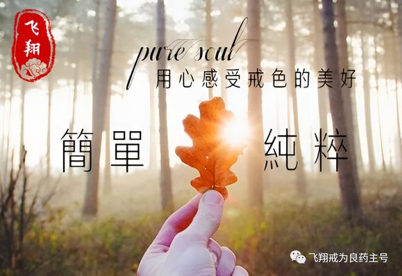 ”☀️如何从戒色初期到突破百天的方法（一）