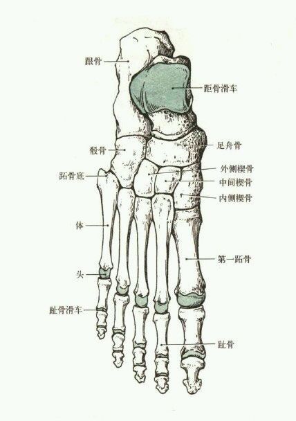 ”关于恋x癖，和针对恋足的方法及图片