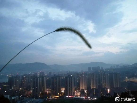 ”戒了这么多年来的一点感想