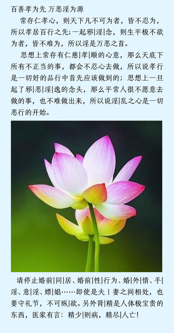 ”戒邪淫远离万恶