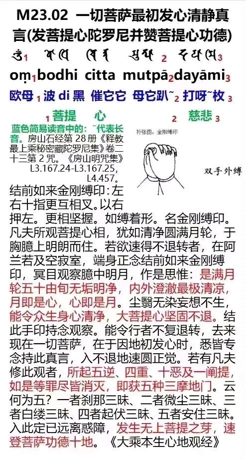 ”爱情是彼此懂得安慰和珍惜。