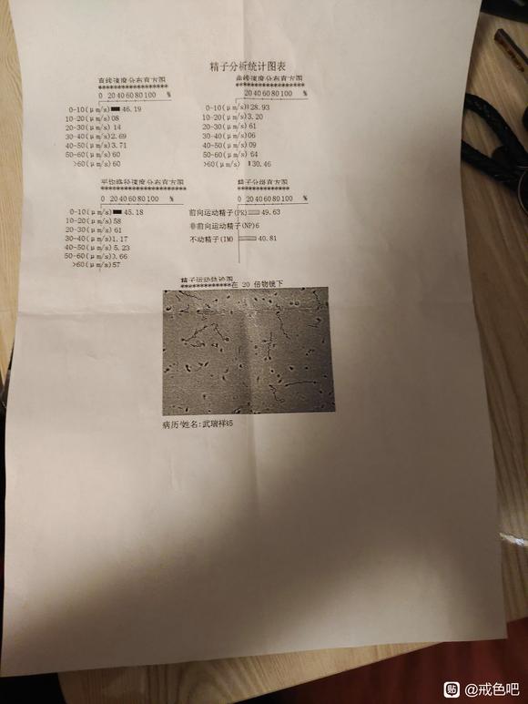 ”精子报告分析单