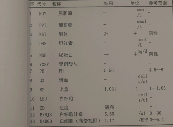 ”做了一个尿常规加抽血，尿蛋白±，尿酸偏高