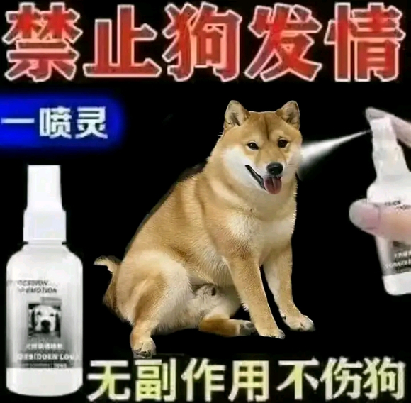 ”打今起准备戒色