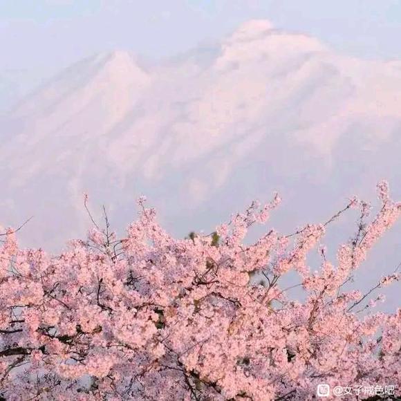 ”【转载】我全家人因为s生付出的代价！