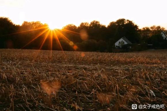 ”男女交往，心诚念正