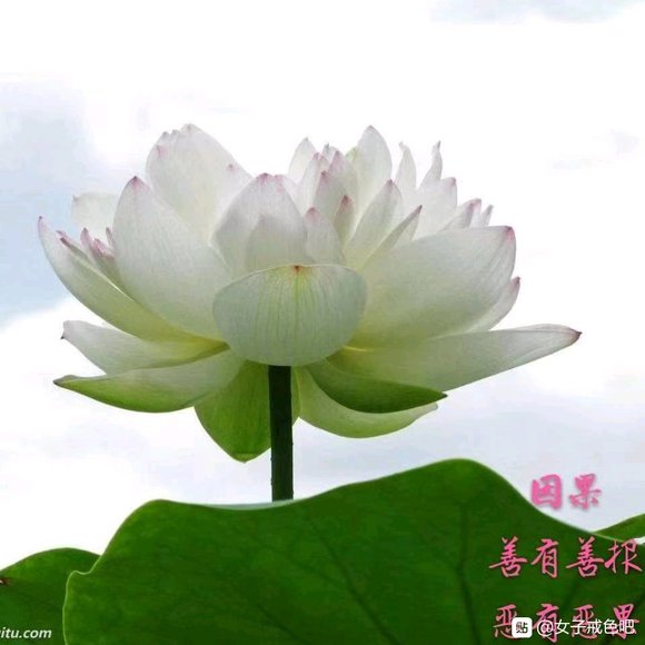 ”《一位90后女生的忏悔-真实记录》我是一个90后的女生，发生