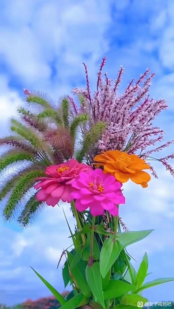 ”《戒为良药》——-广大戒友的福利