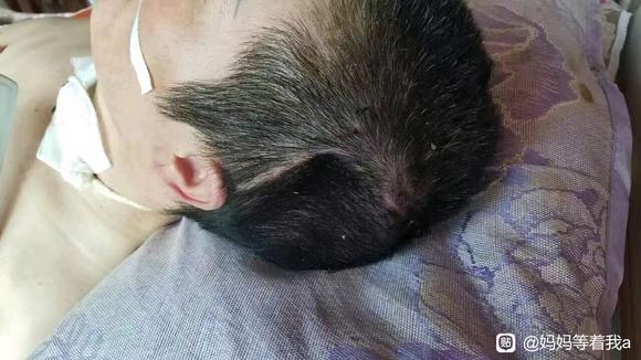 ”帮帮母亲延续生命的希望