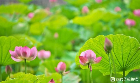 ”不妨进来看看