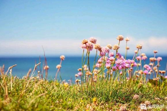 ”每日励志语录