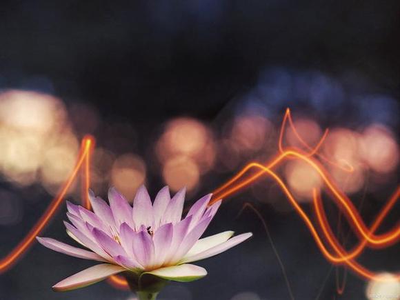 ”关于福报的几点感悟！