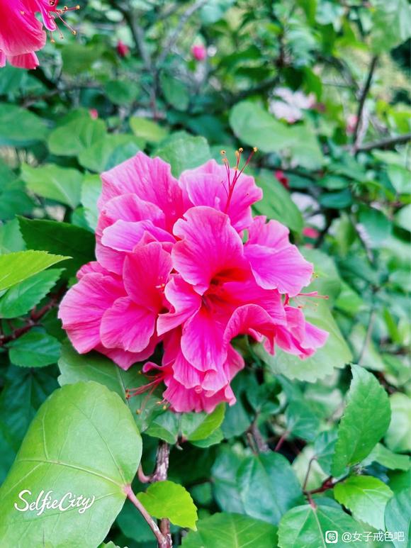 ”戒色是一门学问