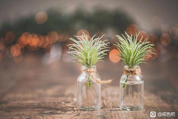 ”是时候站起来了！！！