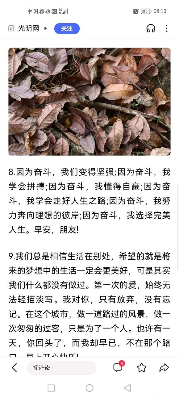 ”贪恢复快的教训