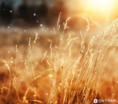 ”普及知识贴:邪淫中的乱伦