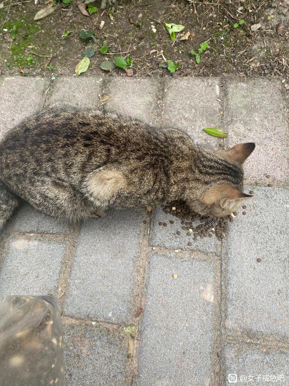 ”戒Xy第13天☀️