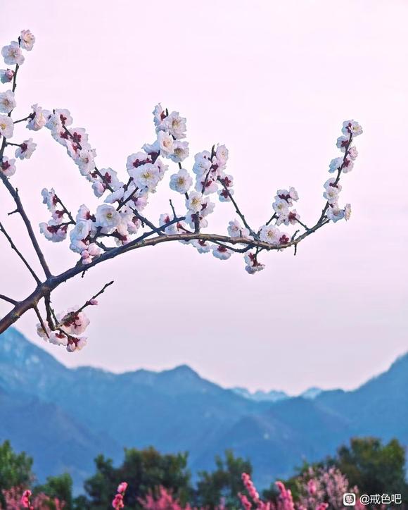 ”戒色是决定一个人人生成败和命运好坏的决定性因素