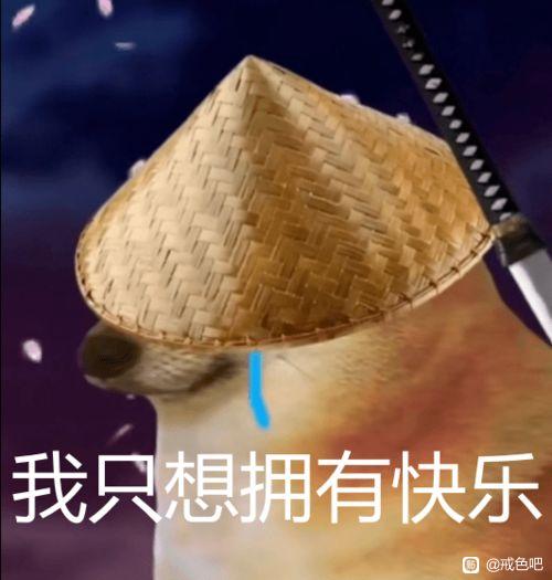 ”问问吧友们，