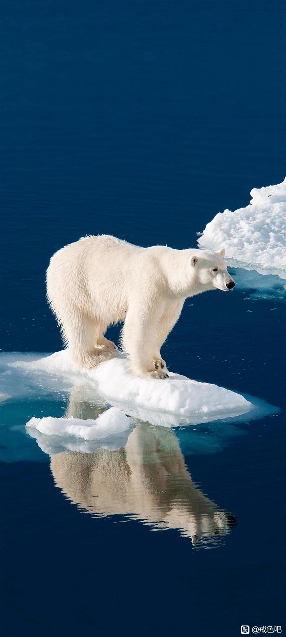 ”灵魂深处要改