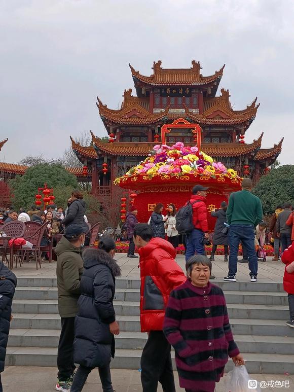 ”我这sy15年的惨痛经历