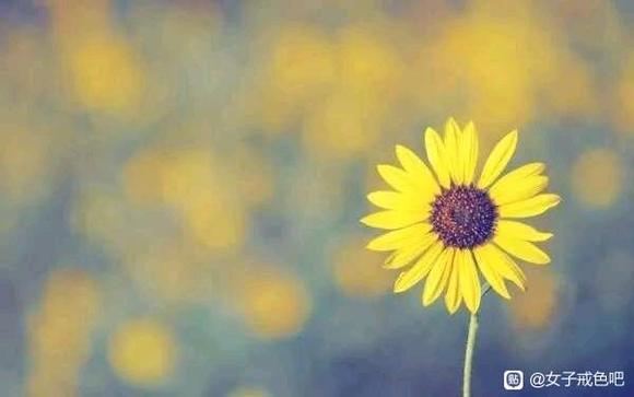 ”【转载】戒除谐银，迎来最美丽最风光的自己！！