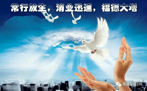 ”、手淫八年、阳维早泄废了