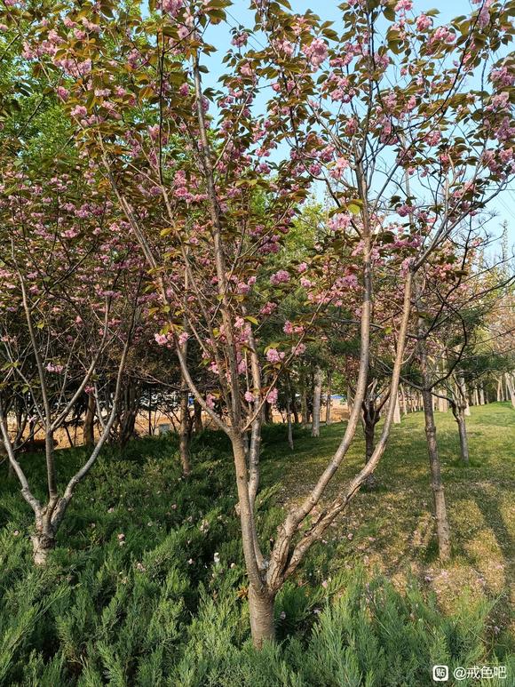 ”发现了一种比较好的方法