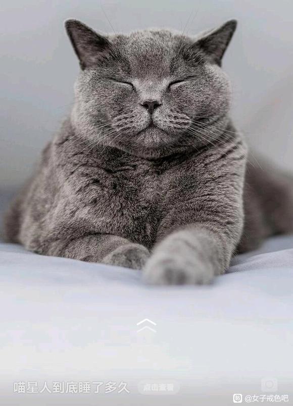 ”放生的好处。